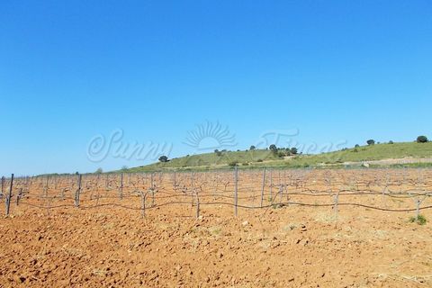Farm hus i Yecla, Murcia, Yecla - € 410.000 | Ref: SF0064 - foto 24